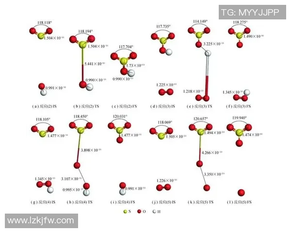 西安排球队个人能力分析与大满贯赛事表现评析